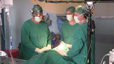 Laryngektomia wg Calearo